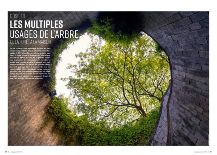 Architecture Bois Terrasse Bois Paris : Les multiples usages de l'arbre